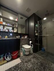 The Inflora (D17), Condominium #595884661